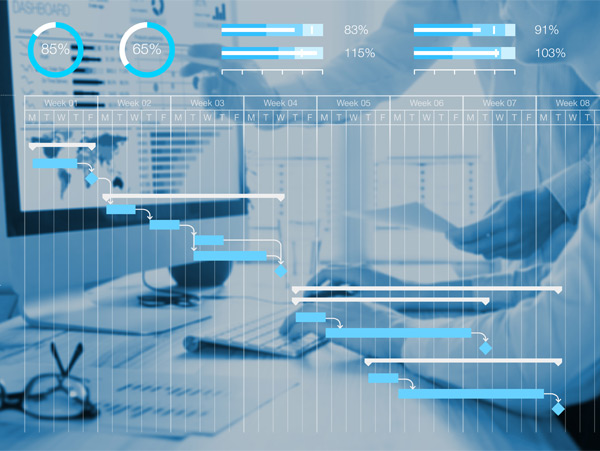 Fiber to the Home Program Management